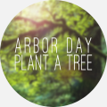 1,000 trees donated to the Arbor Day Foundation