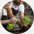 Bloomscape Launches Online Plant Care Course for Beginners