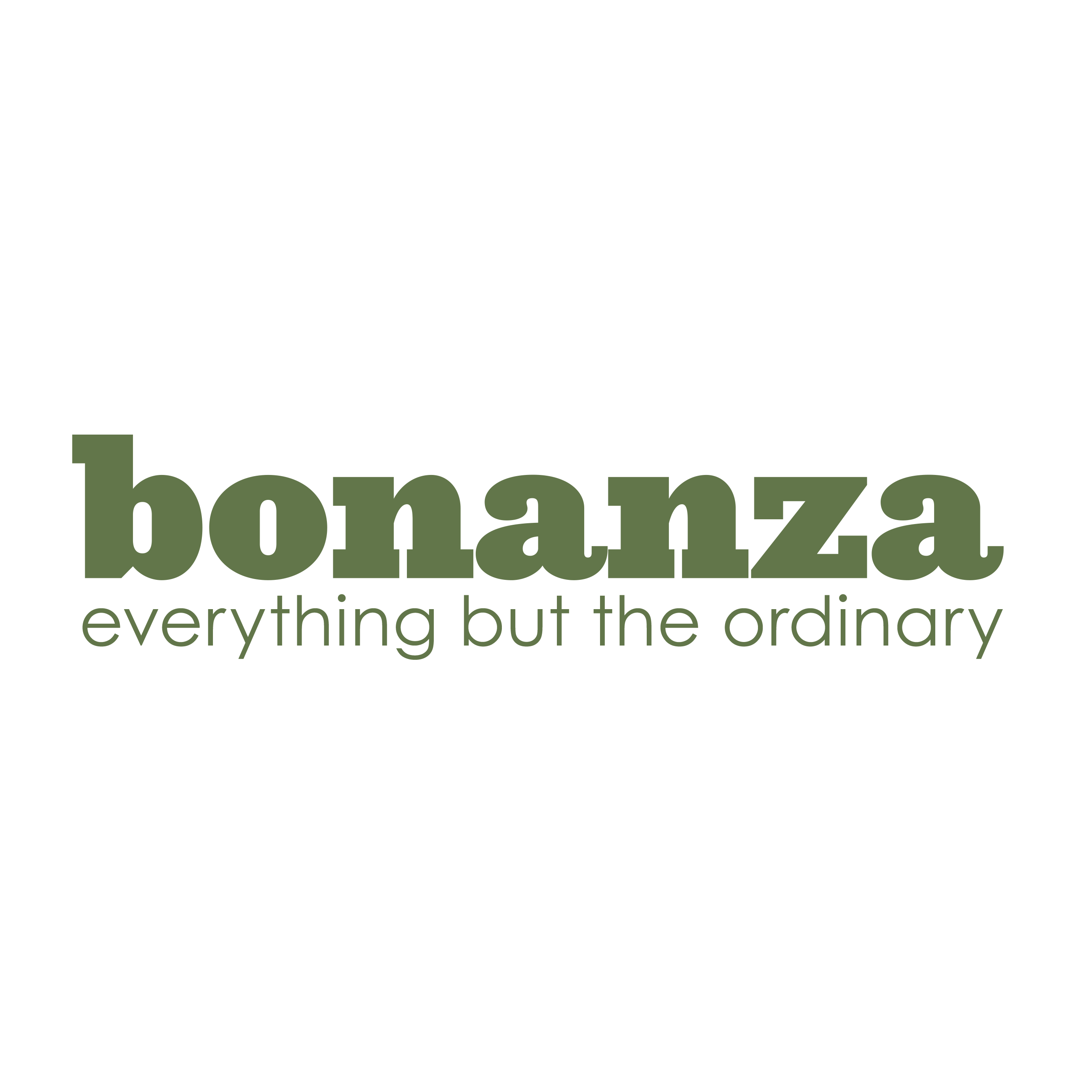 Bonanza coupons