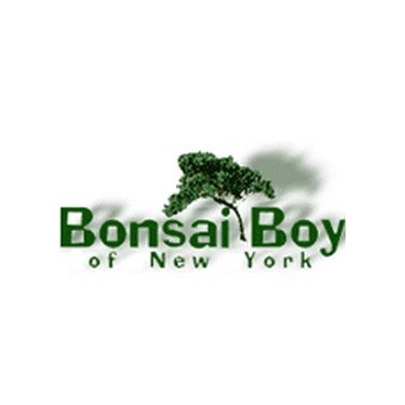 Bonsai Boy of New York coupons