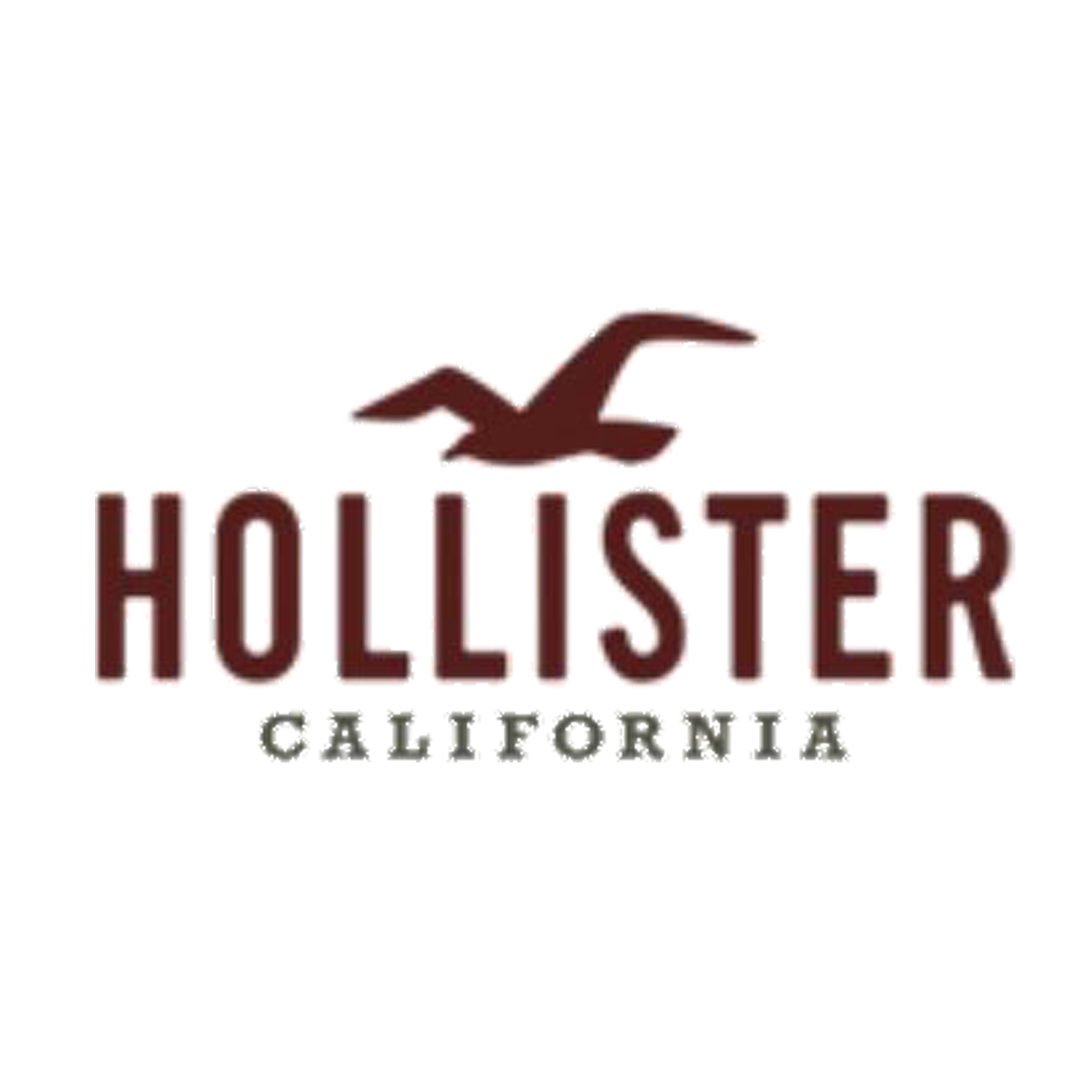 hollister coupon