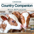 MILK REPLACERS FOR YOUR CALVES