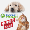 FLASH OFFERS BUDGETVETCARE