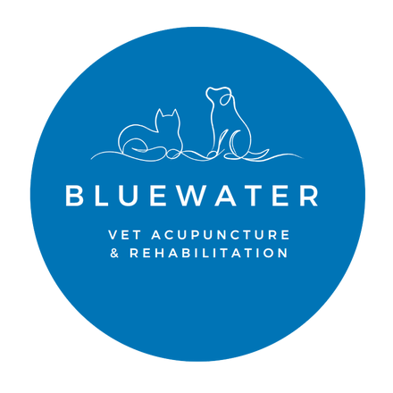 Bluewater Dog coupons