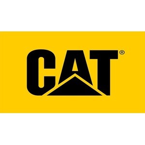 Cat Footwear