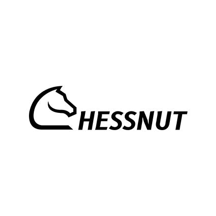 Chessnutech coupons