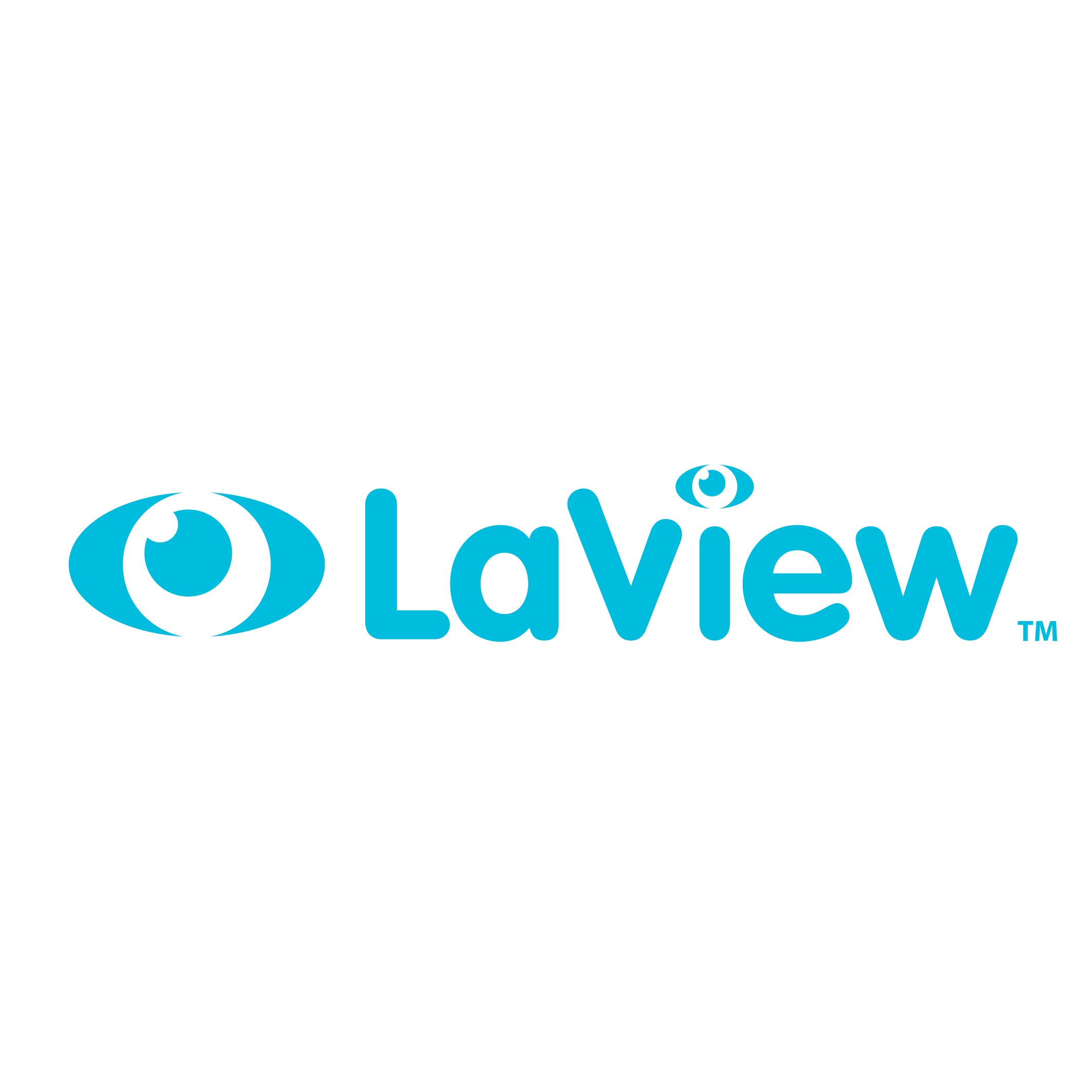 LaView Security coupons