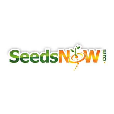 Seed Snow coupons