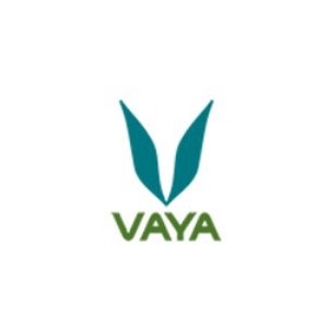 Vaya coupons